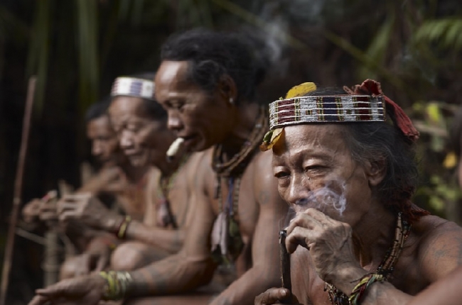  Kearifan Lokal Sanggup Lawan Deforestrasi Indonesia