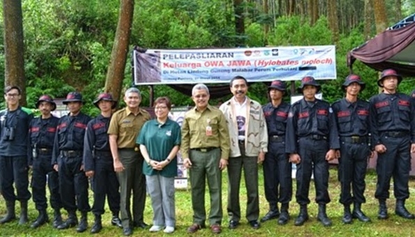  Satwa Khas Jawa ‘Owa Jawa’ Dilepasliarkan di Gunung Malabar