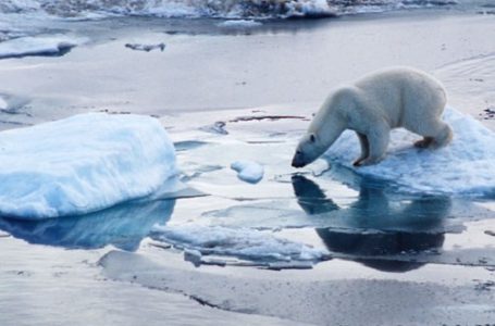 2014 Arctic Sea Ice Telah Lalui Titik Maksimalnya