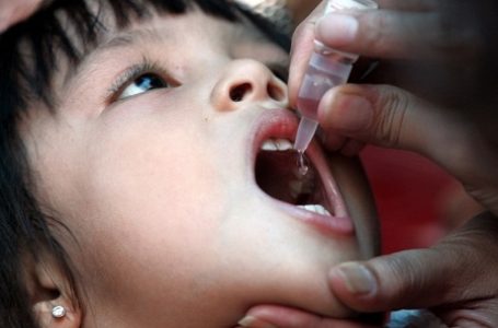 Kerusakan Lingkungan Percepat Penyebaran Polio di Seluruh Daratan Bumi