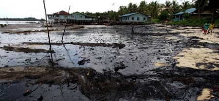 Warga Deliserdang Diserang Satwa Liar Akibat Penggundulan Hutan Mangrove