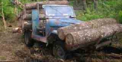  Pemkab Tapanuli Utara akan Tindaki Pemegang IPKR yang Nakal