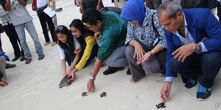  Lewat ‘Belitong Biru’, Kabupaten Belitung Pecahkan Rekor Dunia