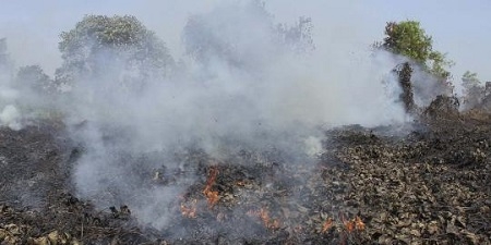  Polda Riau Genapkan Tersangka Pembakar Hutan Menjadi 62 Orang
