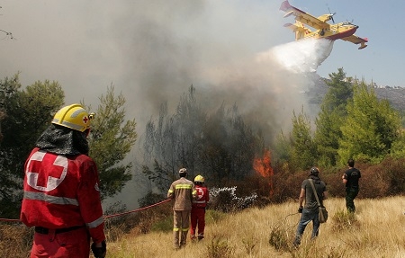  BNPB Anggarkan Rp355 M untuk Tangani Kebakaran Hutan