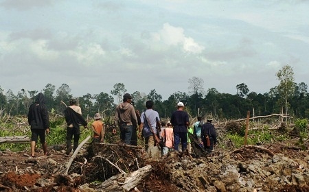  Walhi: Konflik Lahan di Kalimantan Berpotensi Meningkat