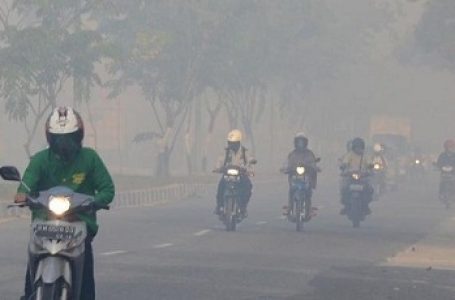 Kabut Asap Juga Selimuti Kalimantan Barat