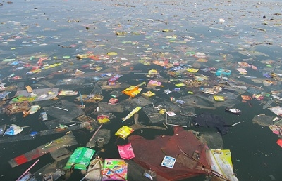  Carlos Duarte: “Sampah Plastik di Lautan Hilang”