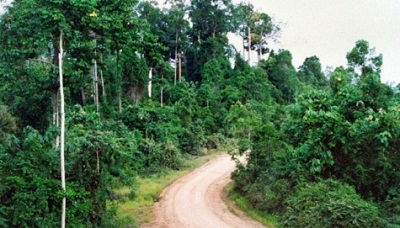  Merusak Lingkungan, PT SI Dihukum Denda Sebesar Rp 32 Miliar