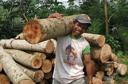  Majelis Adat Aceh Rilis Pedoman Pengelolaan Hutan
