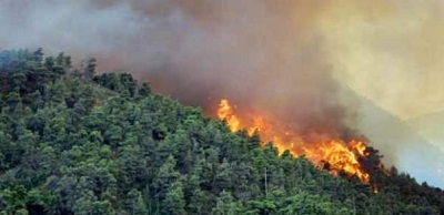  Kontinuitas Kebakaran Hutan Berpotensi di Sembilan Provinsi