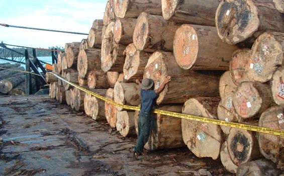  Kemendag Komitmen Membangun Industri Berbasis Lingkungan