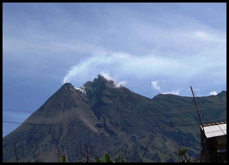  Cegah Longsor, BLH Klaten Tanam Pohon Buah di Lereng Merapi