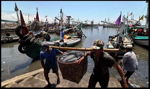  Pemerintah Banyuwangi Desak KLH Keluarkan Hasil Penelitian