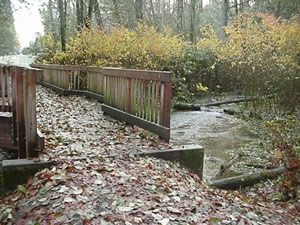  Besok, 100 Relawan akan Hijaukan Clarks Creek 