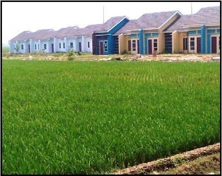  Sawah Di Tangerang Beralih Fungsi
