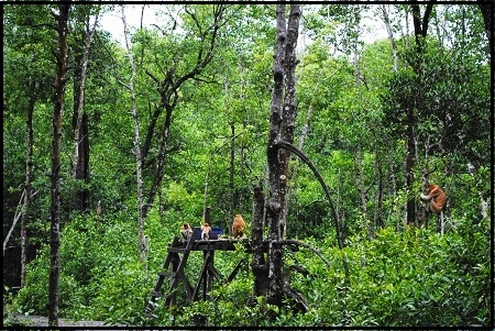  TNC Lebih Memilih Bangun Kerjasama Dengan Ormas Keagamaan