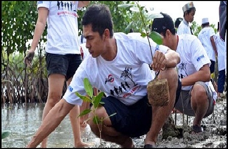 Adi Nugroho Turut Andil Dalam Penanaman Pohon Mangrove