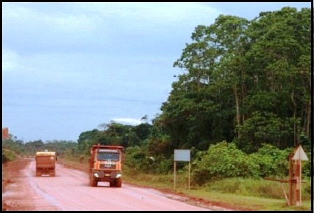  Di Provinsi Sulbar, Sekitar 78 Hektar Lahan Hutan Lindung Beralih Fungsi
