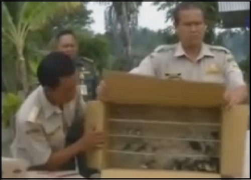  Balai Karantina Berhasil Gagalkan Penyelundupan Satwa