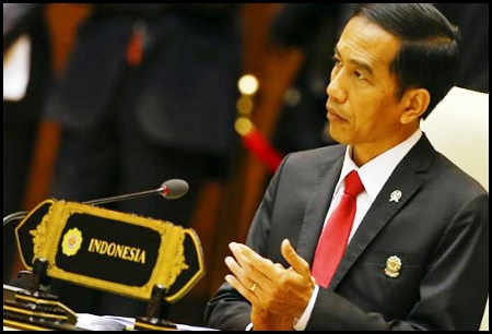  Fokus ke Maritim, Jokowi Jangan Anak Tirikan Sungai dan Hutan