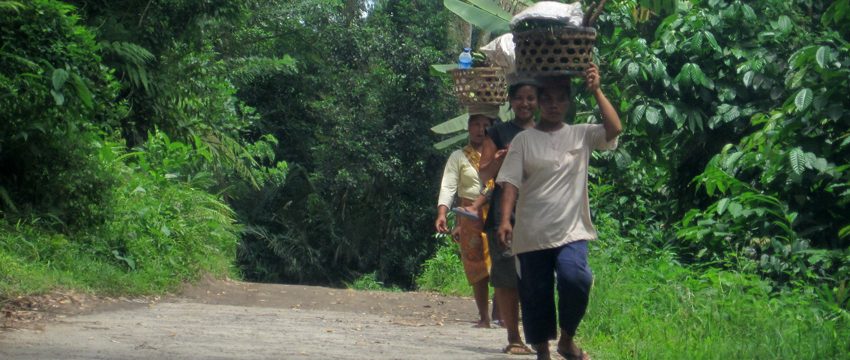  FKKM Kupas Kilas Balik Kehutanan Masyarakat