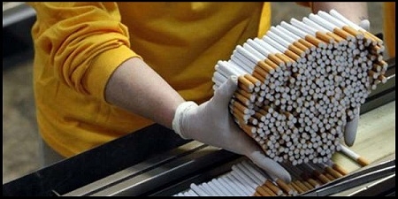  Rokok Turut Andil Mencemari Lingkungan