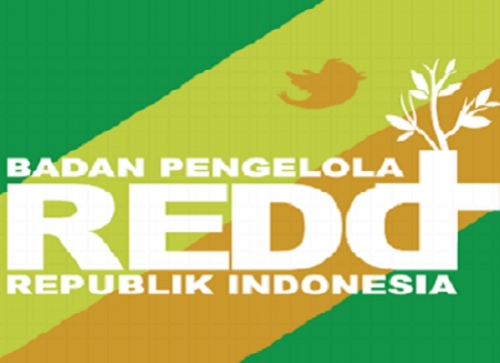  Kementerian LH-K Ambil Alih Tugas DNPI dan BP REDD+?