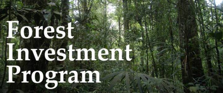  KLHK Gelar Konsultasi Publik Reg. IV “Forest Investment Program”