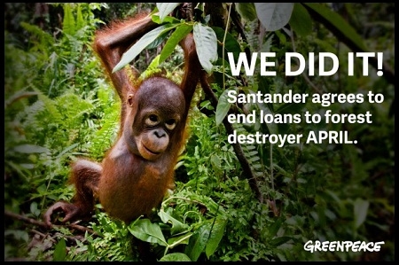  Santander Hentikan Kerjasama dengan APRIL Karena Dianggap Gunduli Hutan