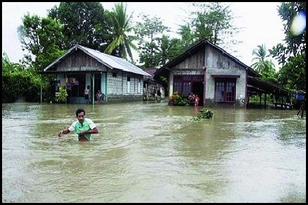  Hutan Dibabat Habis, Kabupaten Gresik Ditimpa Banjir
