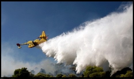  Hutan di Riau Kembali Terbakar, BPPT Siap Tabur Garam