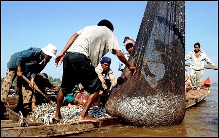  Satgas Illegal Fishing Upayakan Penanganan Kasus Secara Online