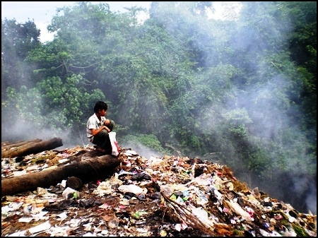  Kerusakan Hutan Indonesia Diakibatkan Amerika dan Pihak Asing