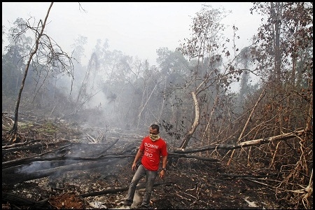  Pemerintah Resmi Perpanjang Moratorium Hutan Hingga 2017