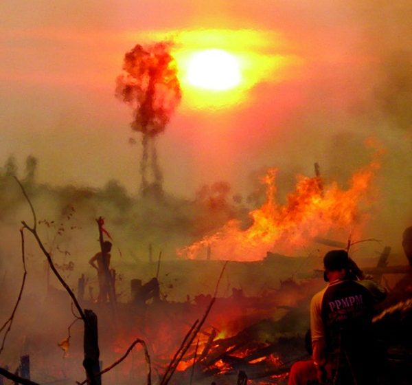  CIFOR Telisik Politik Ekonomi Kebakaran Hutan Indonesia