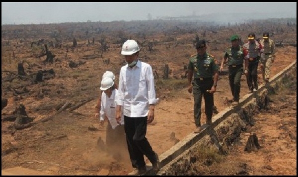  Jokowi Diam-diam Cek Ulang Lokasi Kebakaran (Sendirian)