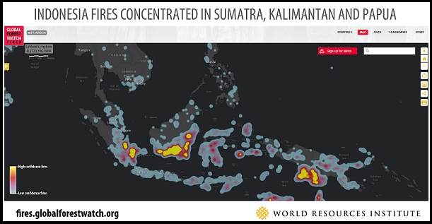 Aplikasi ‘Global Forest Watch’ Bantu Pemerintah Petakan Titik Panas di Wilayah Konsesi Perusahaan