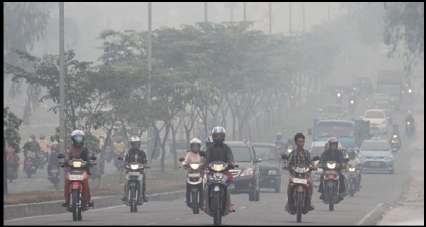  Greenpeace Indonesia Keluarkan Pernyataan Perlindungan Gambut