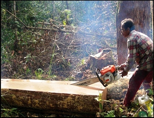  JK: Pemerintah Keliru Dalam Mengelola Lingkungan