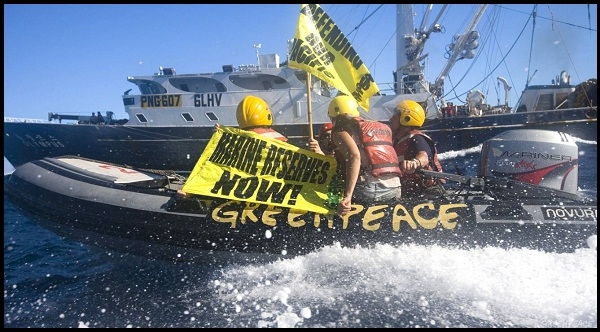  AP2HI dan Greenpeace Bekerjasama Kembangkan Perikanan Tuna Berkelanjutan