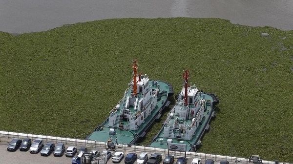  Argentina Nyatakan Darurat Banjir di Enam Provinsi