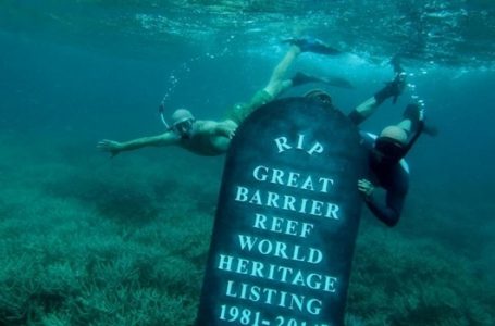 Pakar: Great Barrier Reef Terancam Punah dalam Beberapa Dekade