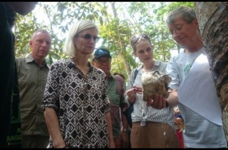 Mentri Kerjasama dan Pembangunan Denmark Ulla Tornaes didampingi Dubes Denmark di Hutan Harapan, Jambi, Senin (1/05) {Foto: Dedi Nurdin/TribunJambi}